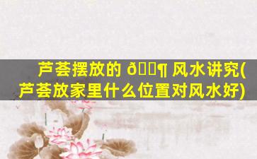 芦荟摆放的 🐶 风水讲究(芦荟放家里什么位置对风水好)